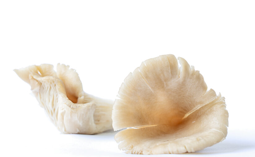 Jun 01 – Mushrooms